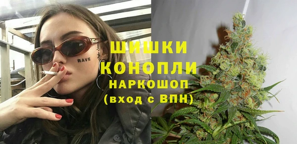 сатива Чекалин