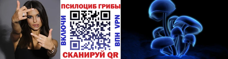 закладки  Липецк  это как зайти  Псилоцибиновые грибы Psilocybine cubensis 